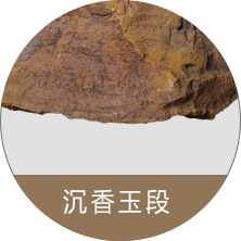 沉香玉段